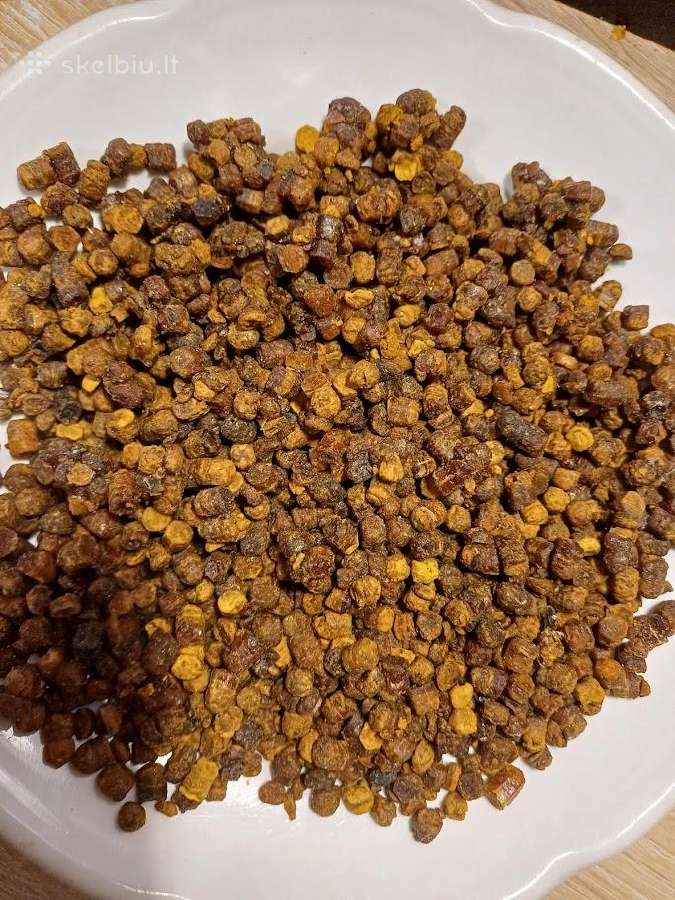 Duonelė, Medus,žiedadulkės,bičių pikis, Gaurometis - nuotraukos Nr. 17