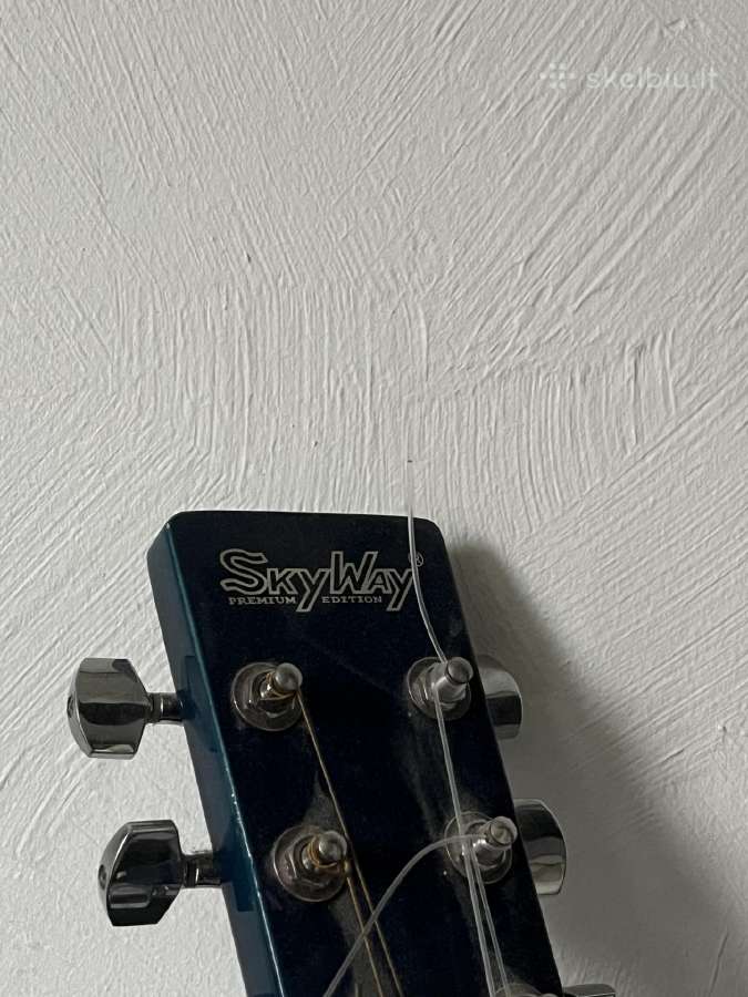 Gitara Skyway - nuotraukos Nr. 2