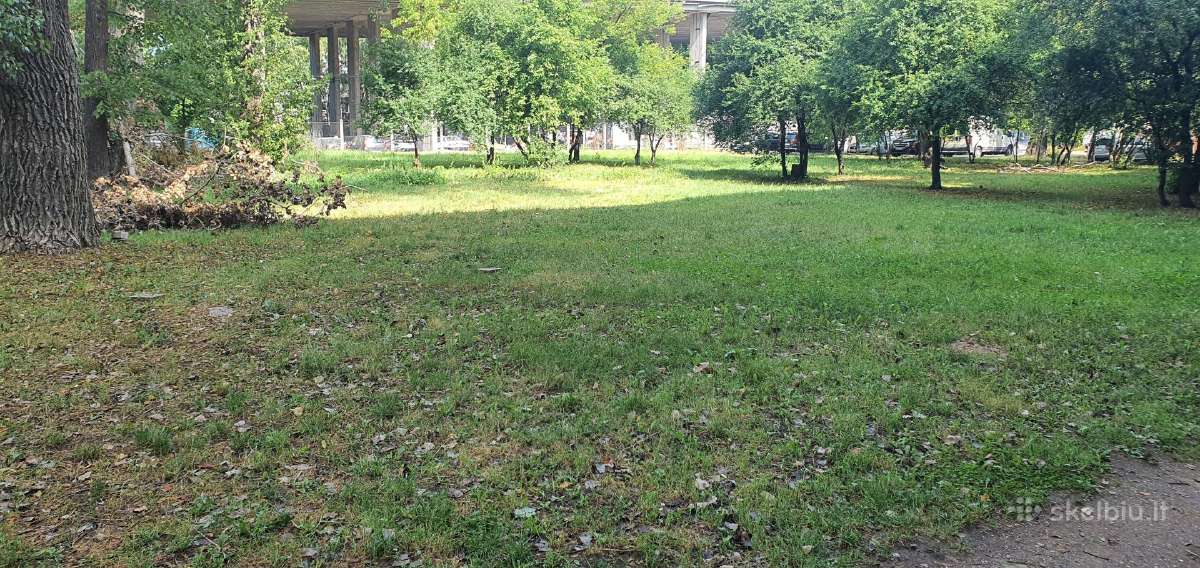 Išnuomojama vieno kambario studija šalia Lampėdžio - nuotraukos Nr. 6