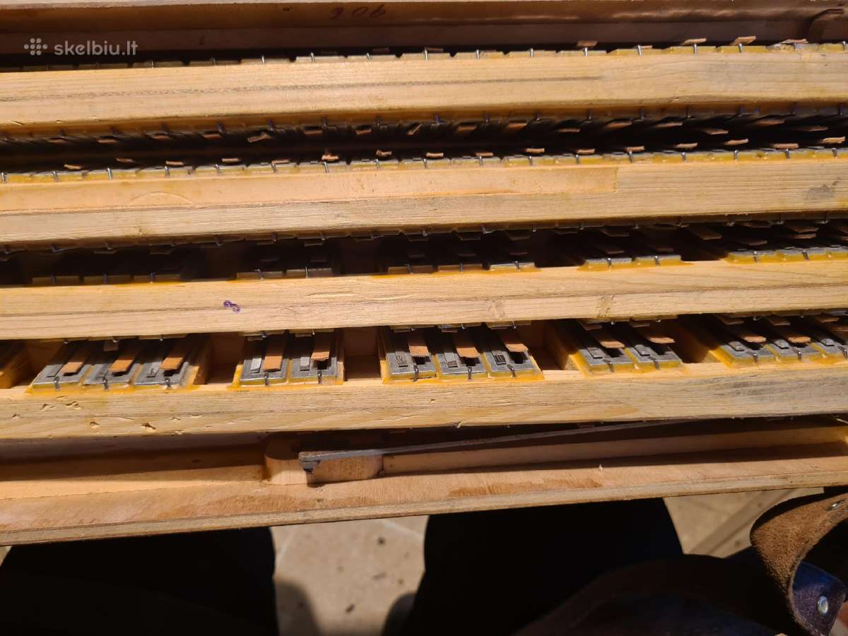 Hohner Organola 120 bosų, keturbalsis , tarpukario - nuotraukos Nr. 4