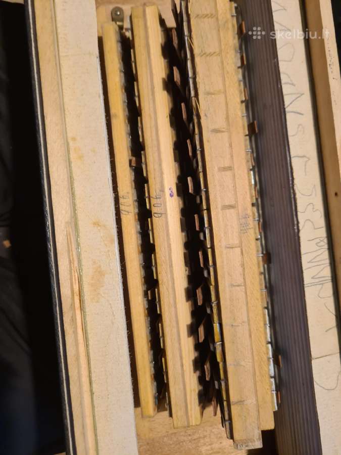 Hohner Organola 120 bosų, keturbalsis , tarpukario - nuotraukos Nr. 6