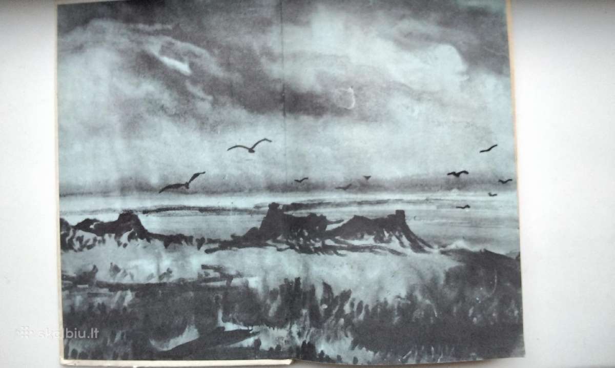 Jaunystė prie Laptevų jūros - nuotraukos Nr. 2