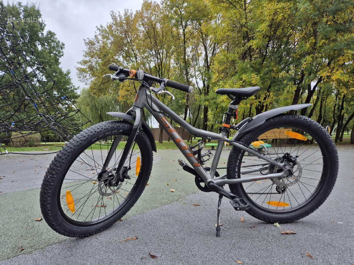 Scott Roxter 24" - nuotraukos Nr. 4