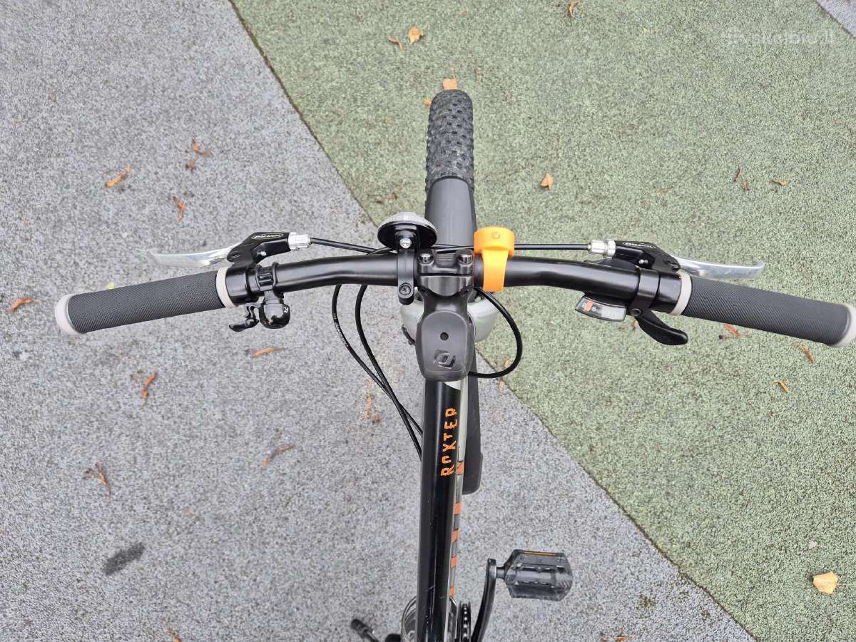 Scott Roxter 24" - nuotraukos Nr. 6