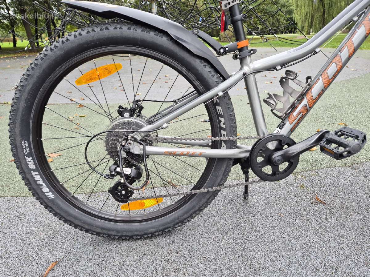 Scott Roxter 24" - nuotraukos Nr. 8