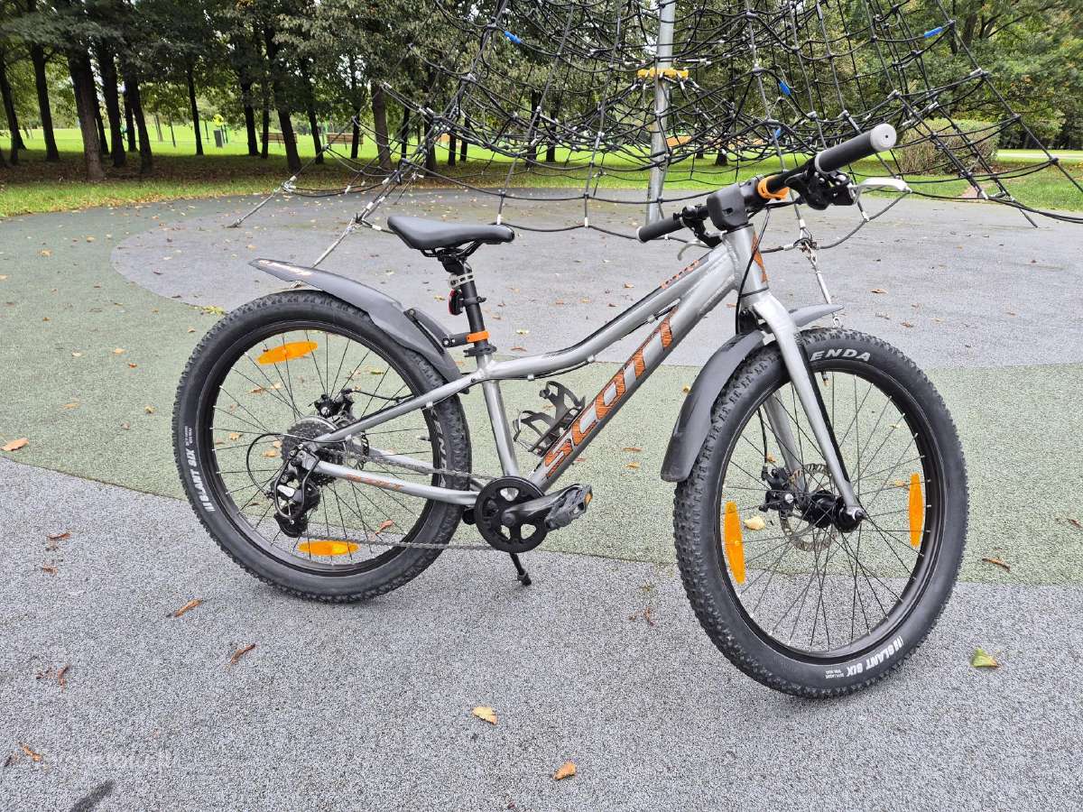 Scott Roxter 24" - nuotraukos Nr. 2