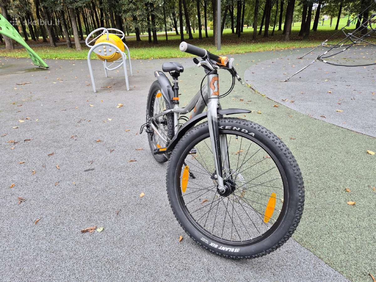 Scott Roxter 24" - nuotraukos Nr. 3