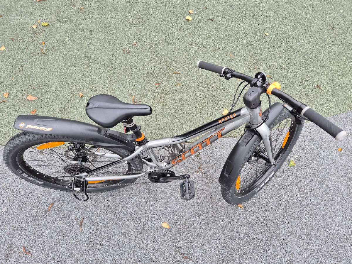 Scott Roxter 24" - nuotraukos Nr. 7