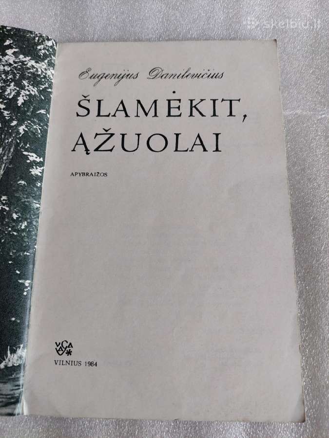 Šlamėkit, ąžuolai - nuotraukos Nr. 2