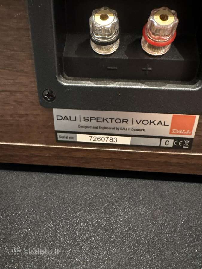 Dali spektor vokal - nuotraukos Nr. 2