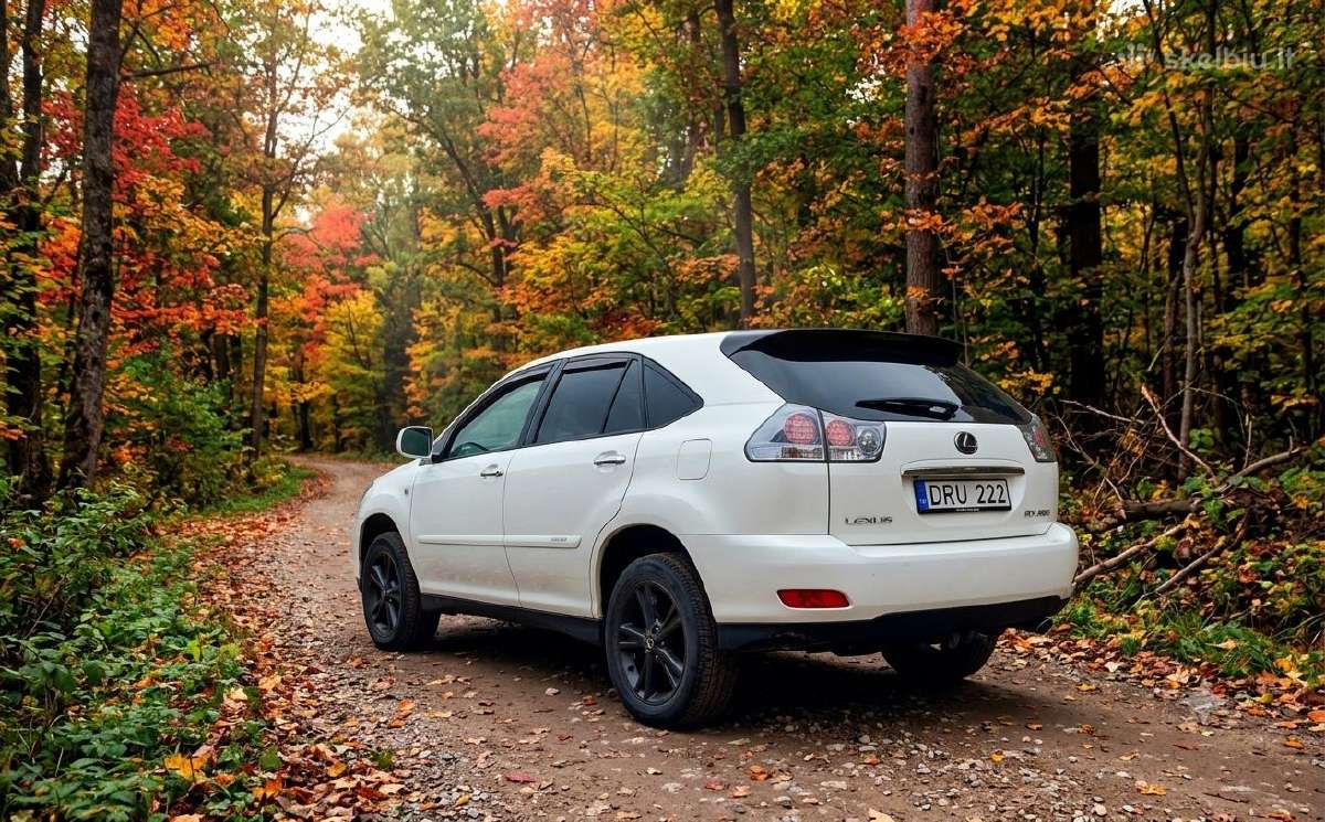 Lexus Rx400h - nuotraukos Nr. 2