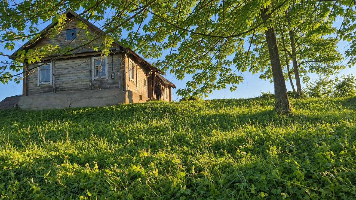 Sodyba ant kalvos su 58 m Lamėsto pakrante - nuotraukos Nr. 9