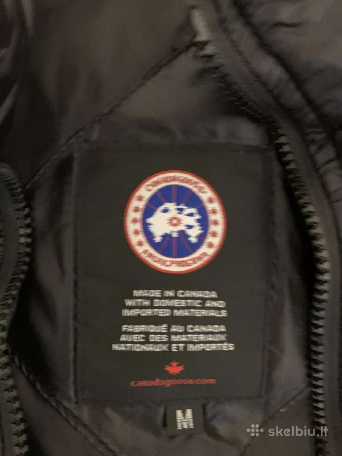 Canada goose liemene - nuotraukos Nr. 4