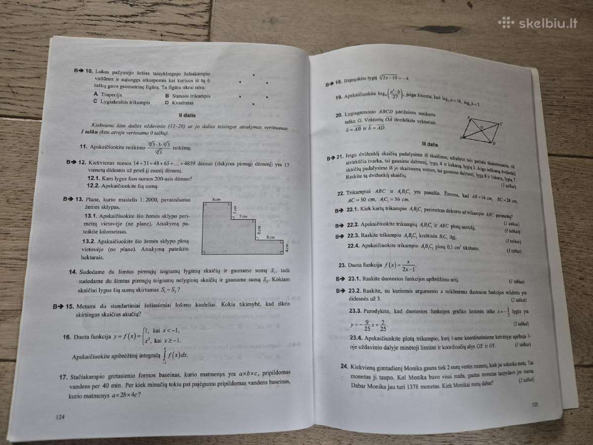 Matematikos valstybinio brandos egzamino užduotys - nuotraukos Nr. 3
