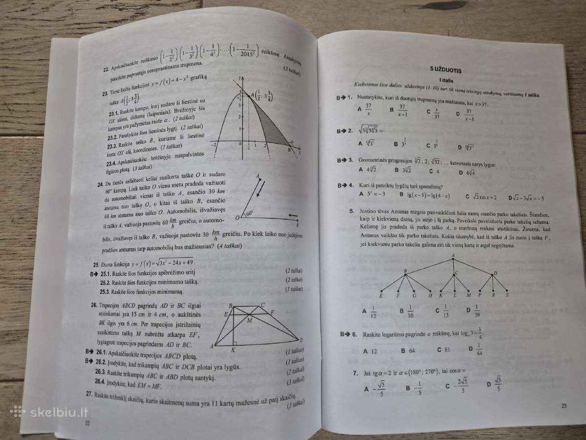 Matematikos valstybinio brandos egzamino užduotys - nuotraukos Nr. 5