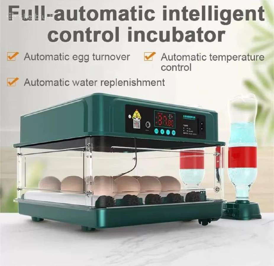 Automatinis kiaušinių inkubatorius 36vnt - nuotraukos Nr. 3