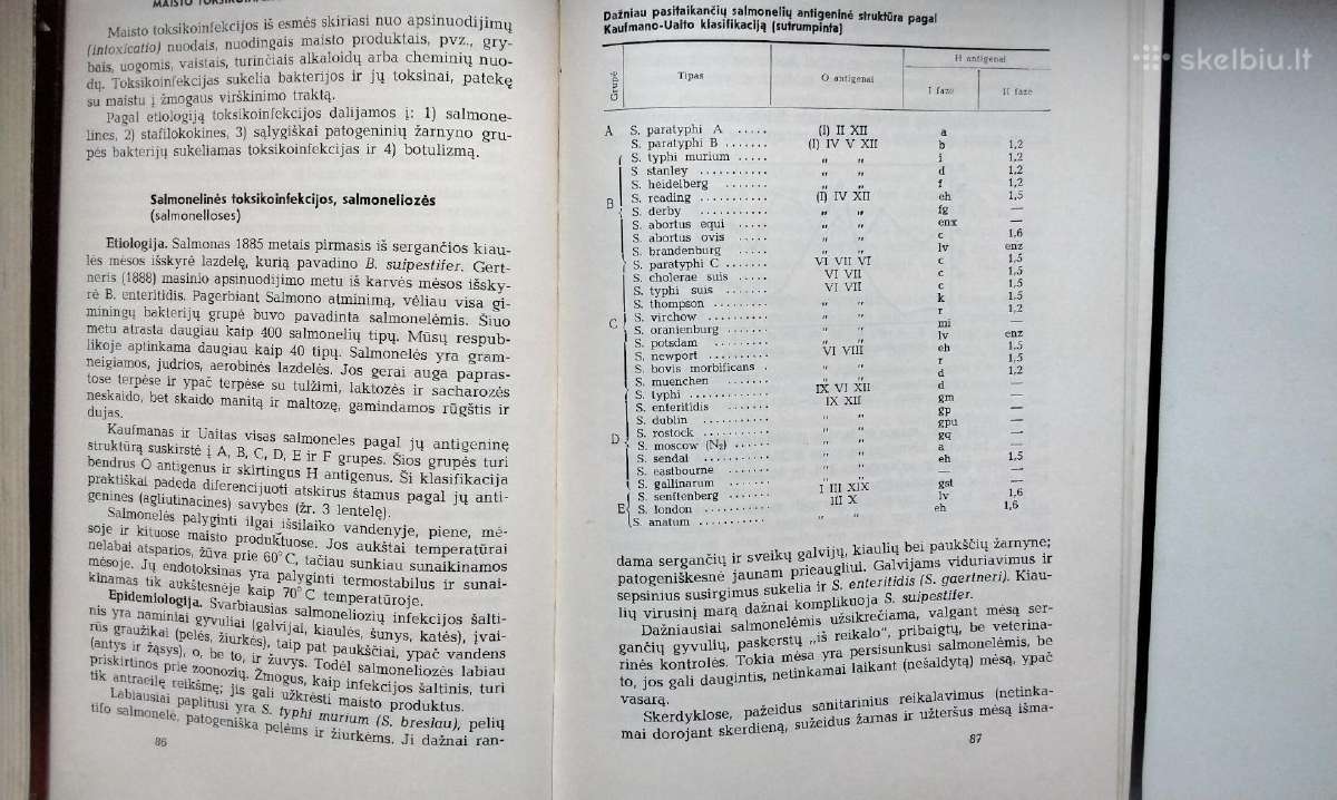 P. Čibiras. Infekcinės ligos. 1966 m. leid. - nuotraukos Nr. 6