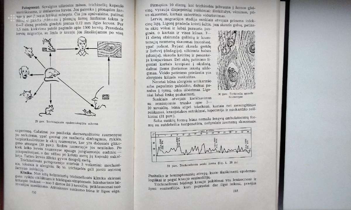 P. Čibiras. Infekcinės ligos. 1966 m. leid. - nuotraukos Nr. 8