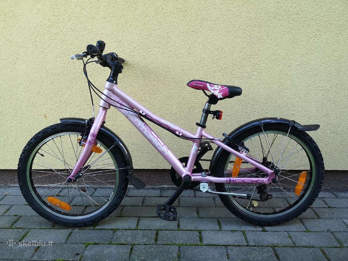 Vaikiški dviratukai (20 col. ratai) - nuotraukos Nr. 7