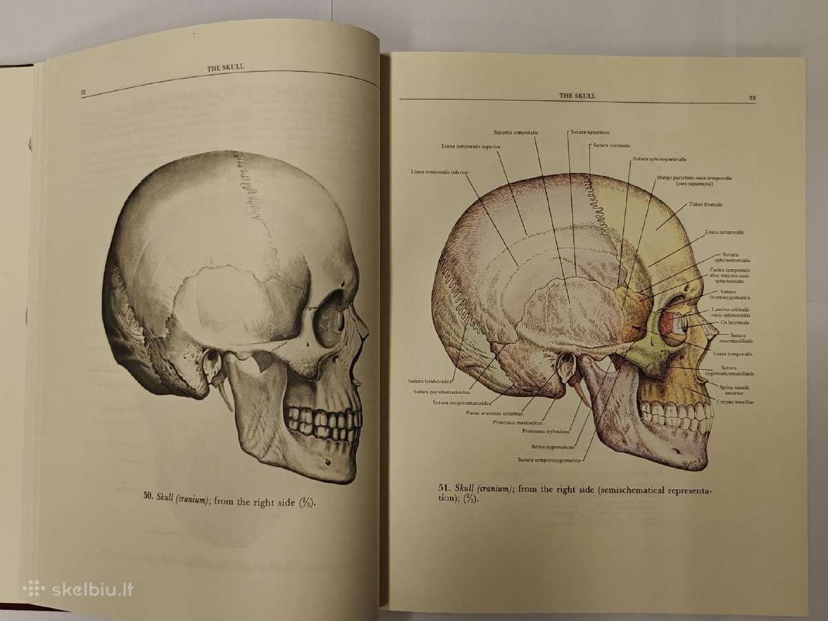 Atlas of Human Anatomy - Sinelnikov - nuotraukos Nr. 3