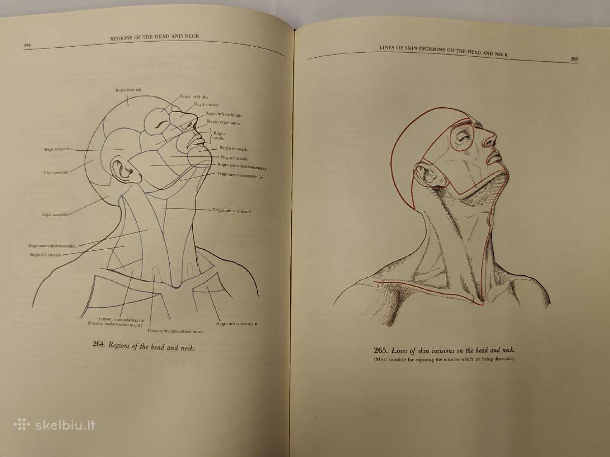 Atlas of Human Anatomy - Sinelnikov - nuotraukos Nr. 6