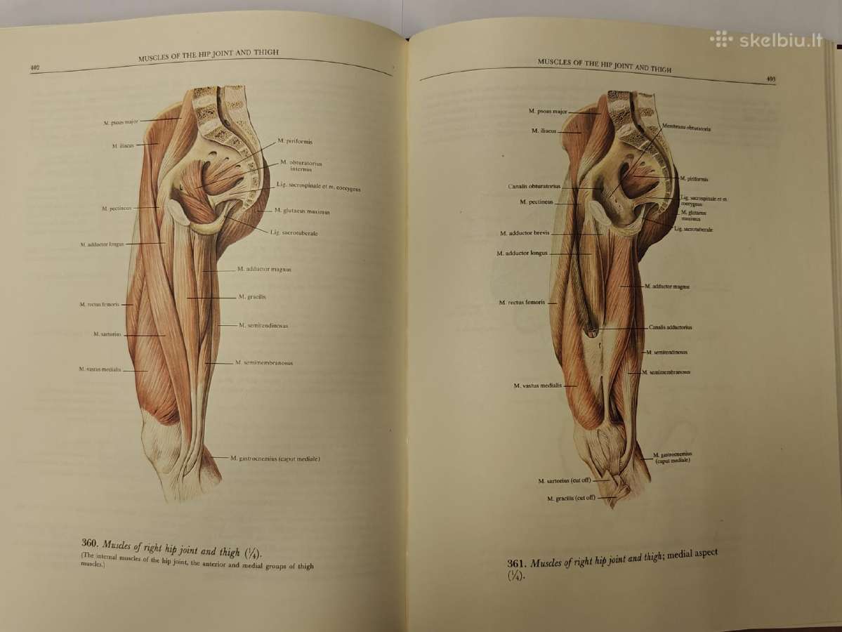 Atlas of Human Anatomy - Sinelnikov - nuotraukos Nr. 10