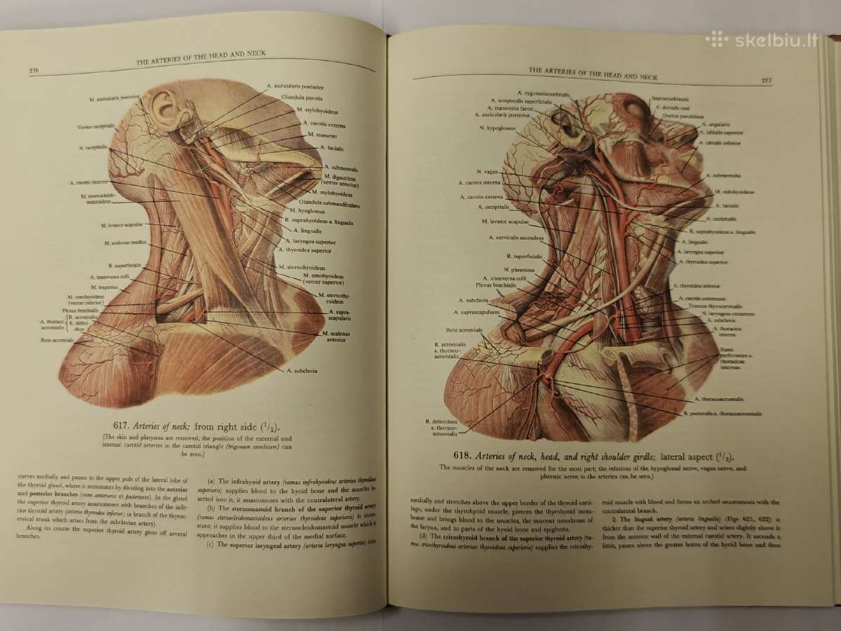 Atlas of Human Anatomy - Sinelnikov - nuotraukos Nr. 14