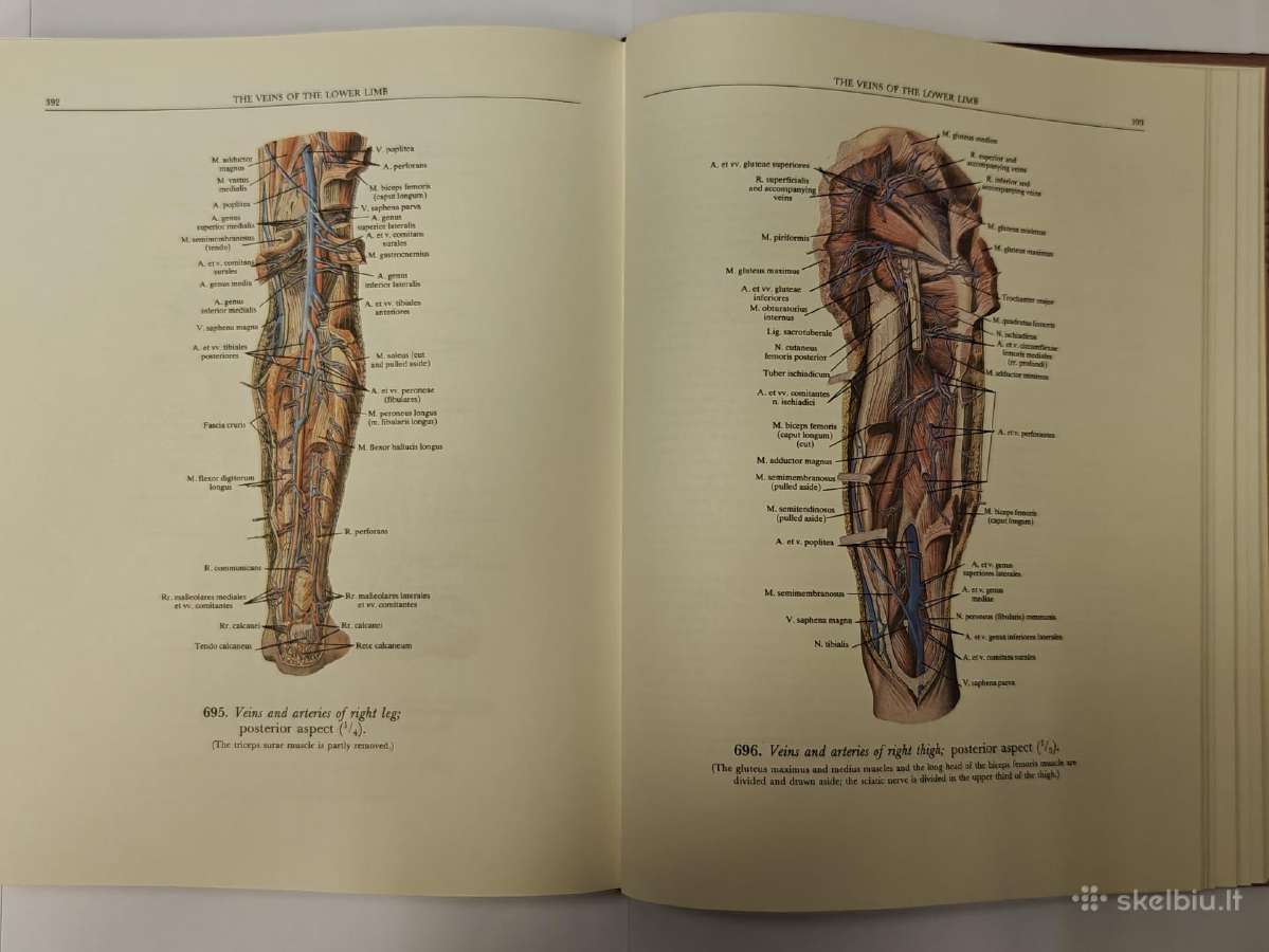 Atlas of Human Anatomy - Sinelnikov - nuotraukos Nr. 15
