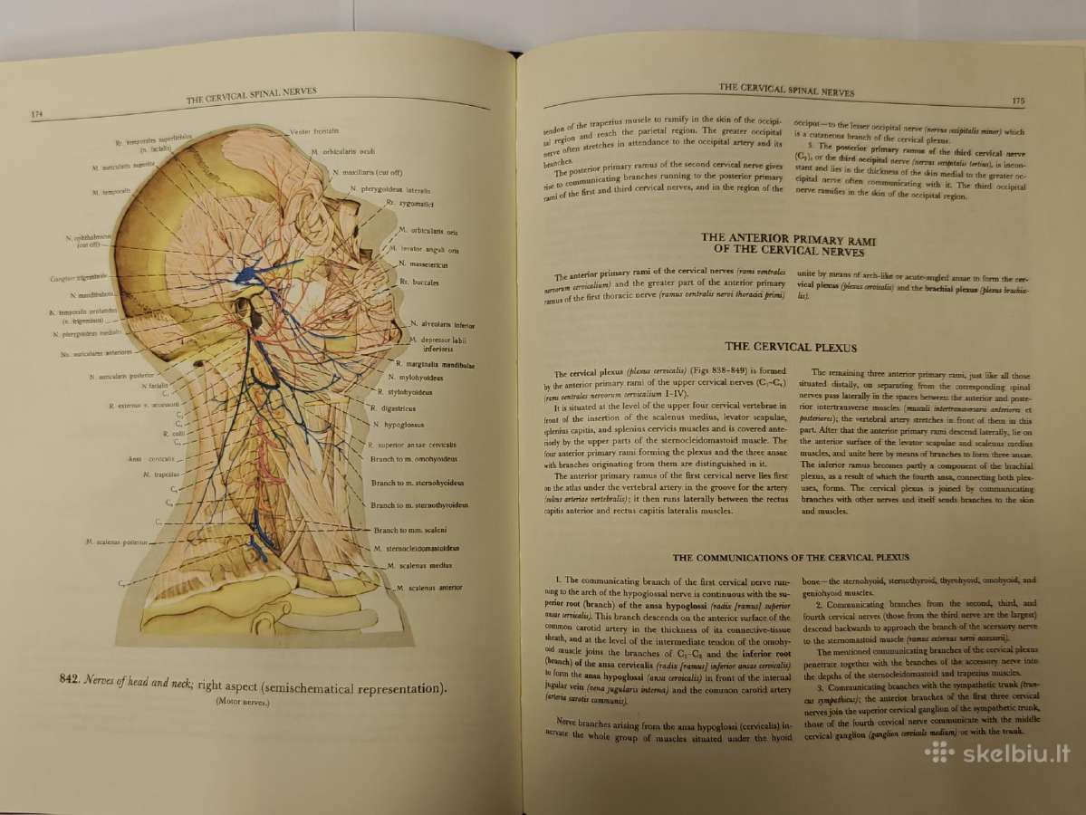 Atlas of Human Anatomy - Sinelnikov - nuotraukos Nr. 16
