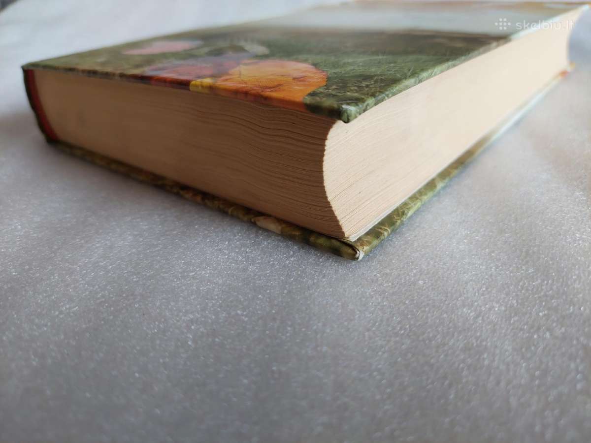 Raudonlapis bukas - nuotraukos Nr. 5