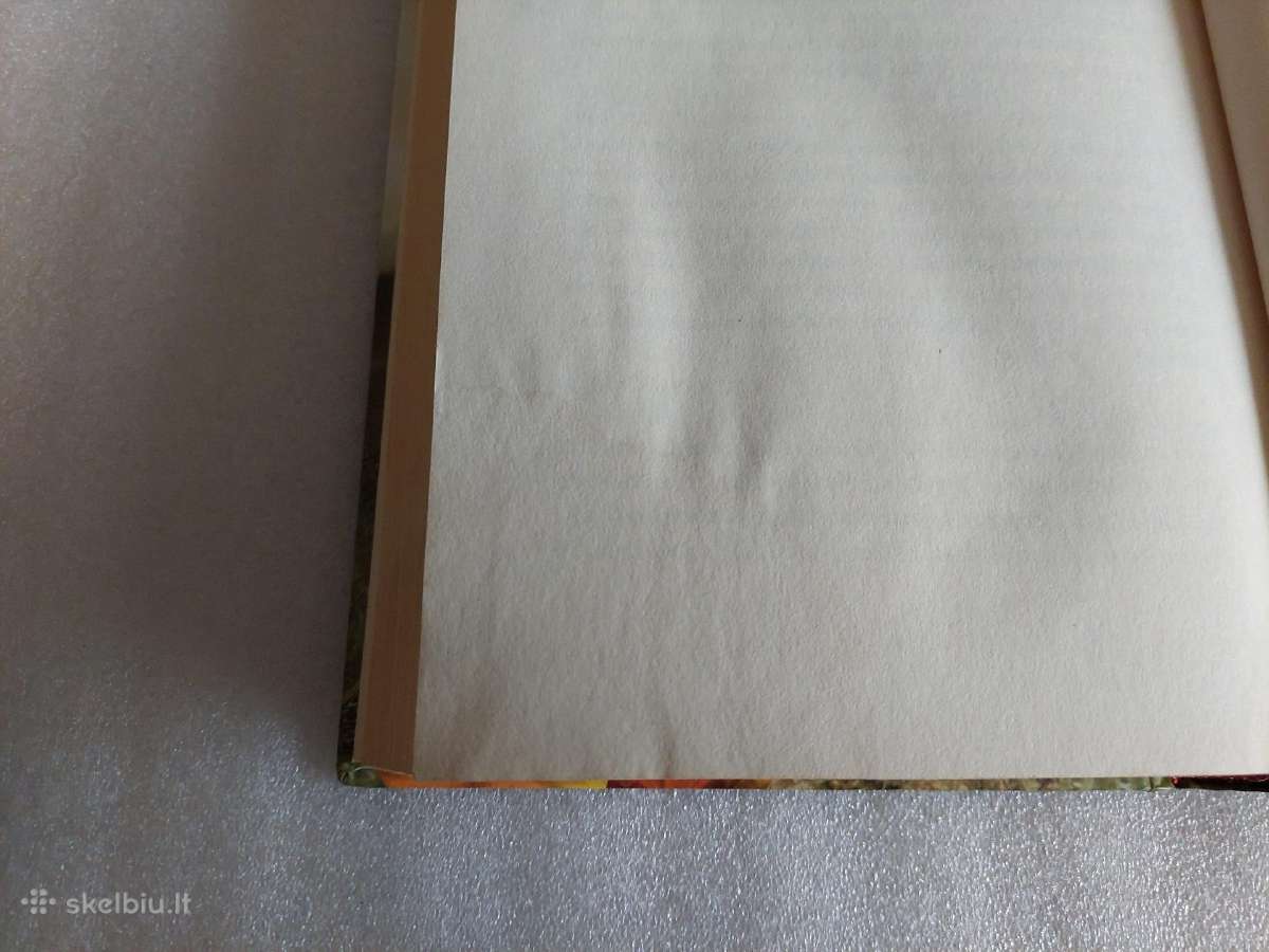 Raudonlapis bukas - nuotraukos Nr. 4