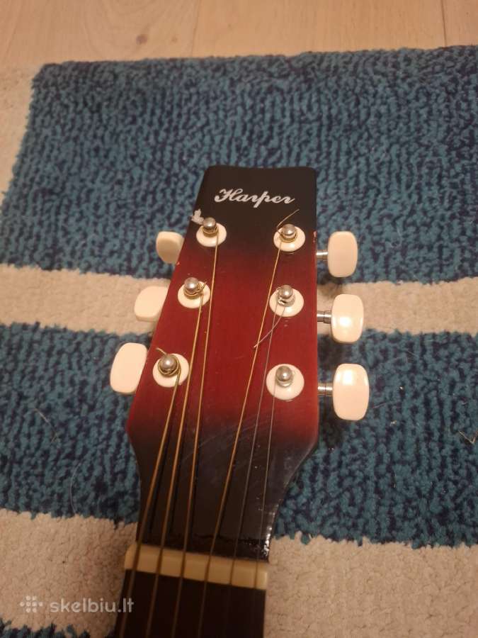 Gitara - nuotraukos Nr. 9