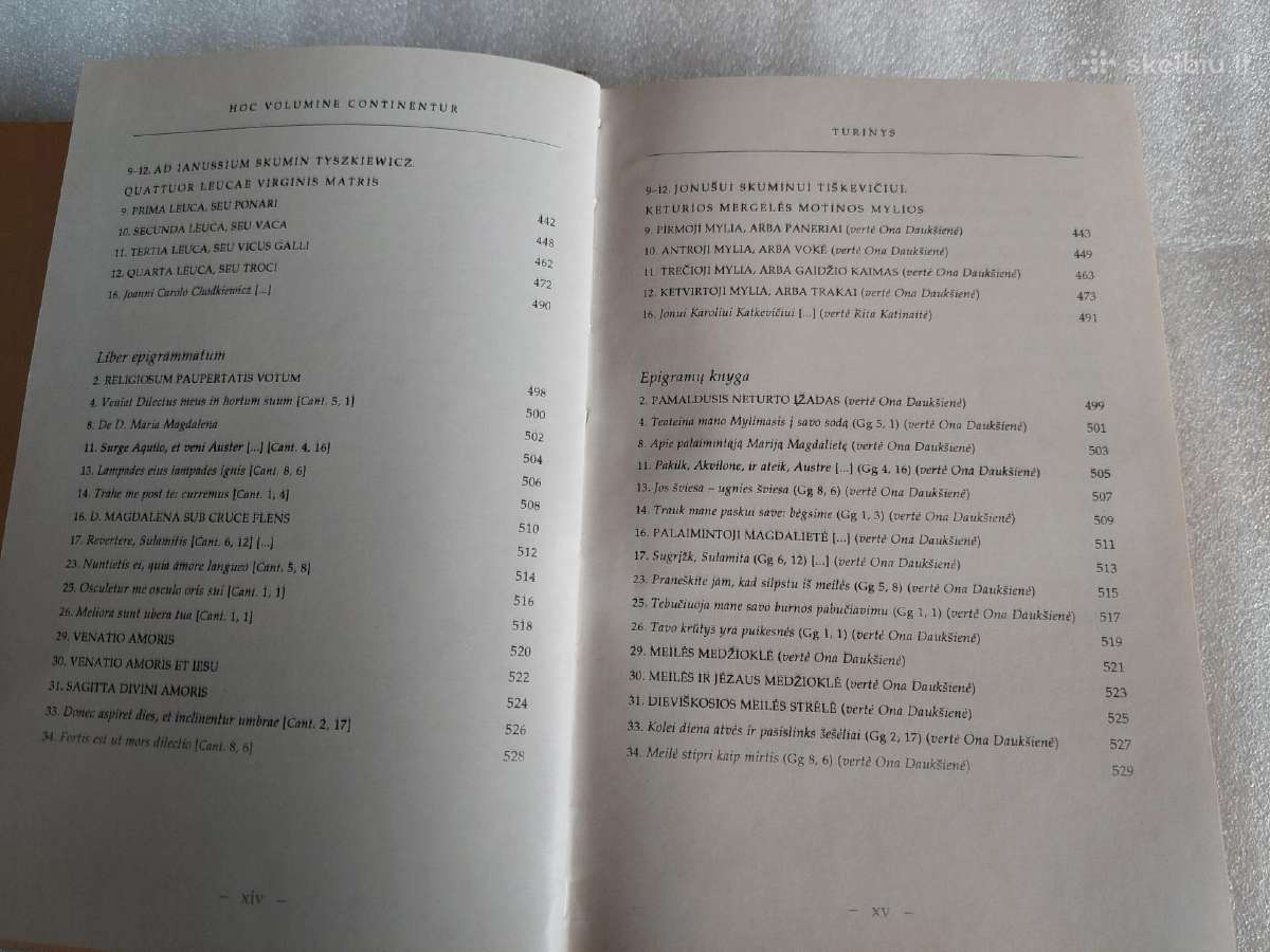 Lemties žaidimai - nuotraukos Nr. 7