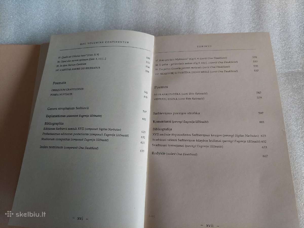 Lemties žaidimai - nuotraukos Nr. 8