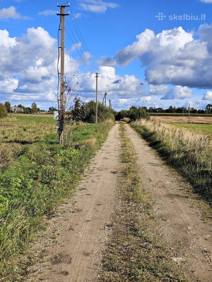 Parduodamas namas su dideliu žemės sklypu. - nuotraukos Nr. 5