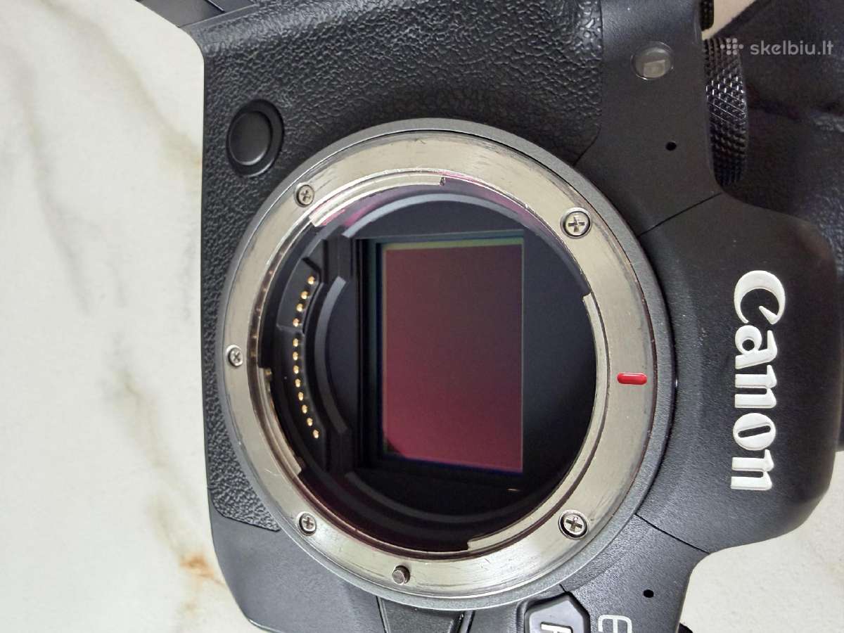 Canon EOS R6 + 70-200 L Rf 800 35 Macro - nuotraukos Nr. 13