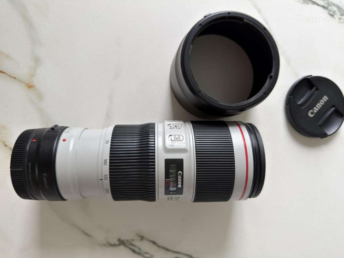 Canon EOS R6 + 70-200 L Rf 800 35 Macro - nuotraukos Nr. 20