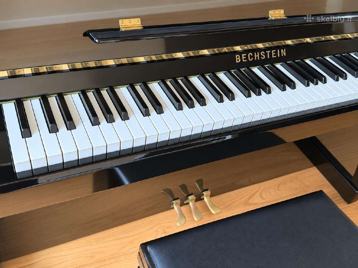 Aukščiausios klasės vokiškas pianinas C. Bechstein - nuotraukos Nr. 3