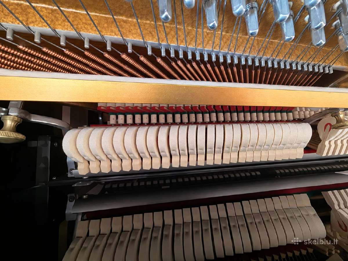 Aukščiausios klasės vokiškas pianinas C. Bechstein - nuotraukos Nr. 4