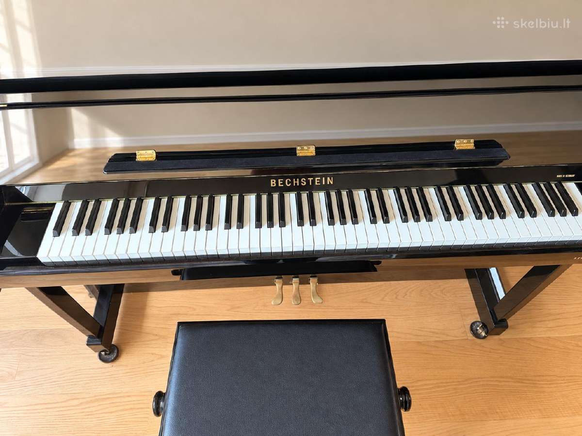 Aukščiausios klasės vokiškas pianinas C. Bechstein - nuotraukos Nr. 7