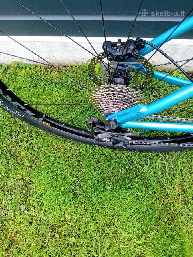 Canyon 29 er Reba sake L dydis - nuotraukos Nr. 7