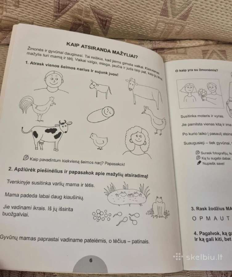 Gamtos sąsiuvinis Abc 123 - nuotraukos Nr. 3