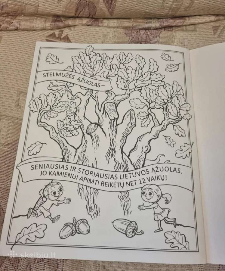 Lietuvos istorija vaikams - nuotraukos Nr. 5