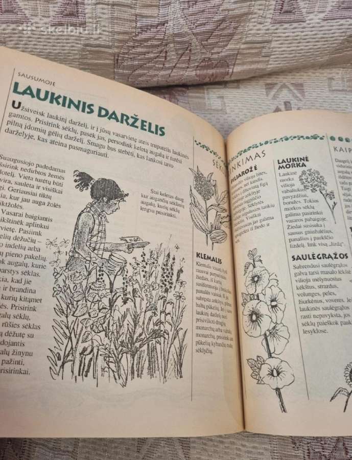 Vaikų vasaros knyga - nuotraukos Nr. 6