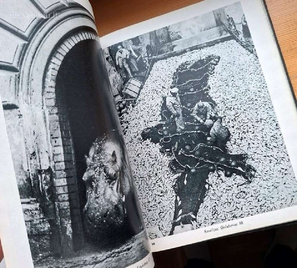 Knyga 1971m. Lietuvos fotografija - nuotraukos Nr. 7