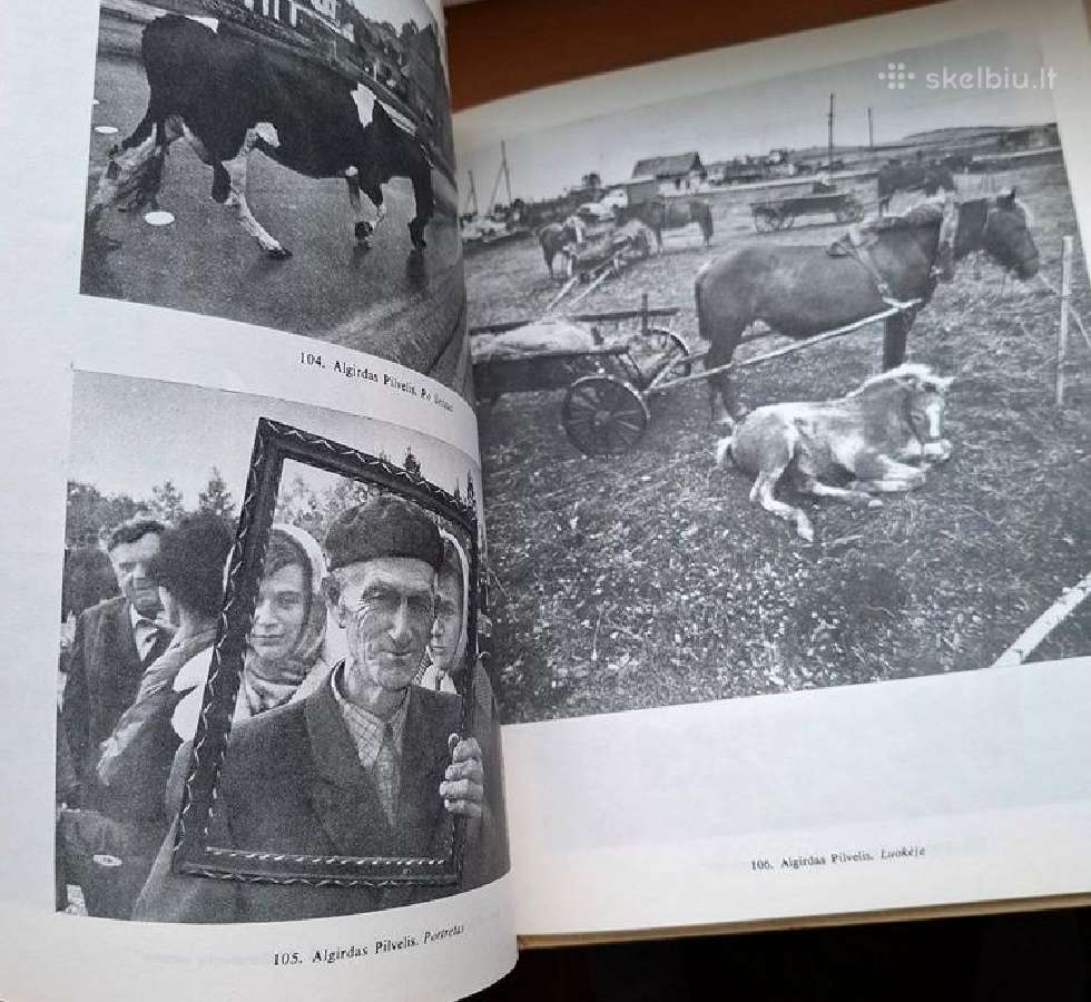 Knyga 1986m. Lietuvos fotografija (1981–1982) - nuotraukos Nr. 5