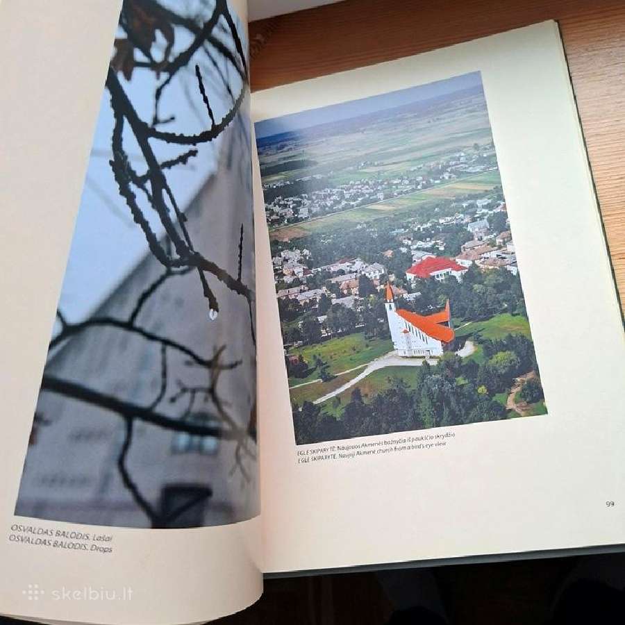 Knyga 2012m. Visi keliai veda į Šventovę - nuotraukos Nr. 5
