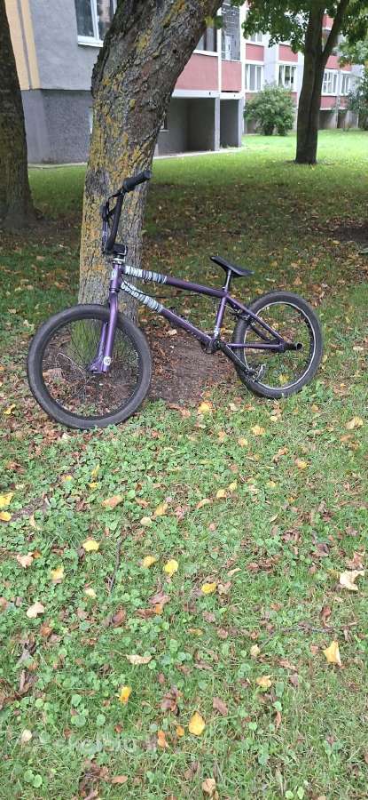 Kink BMX - nuotraukos Nr. 2