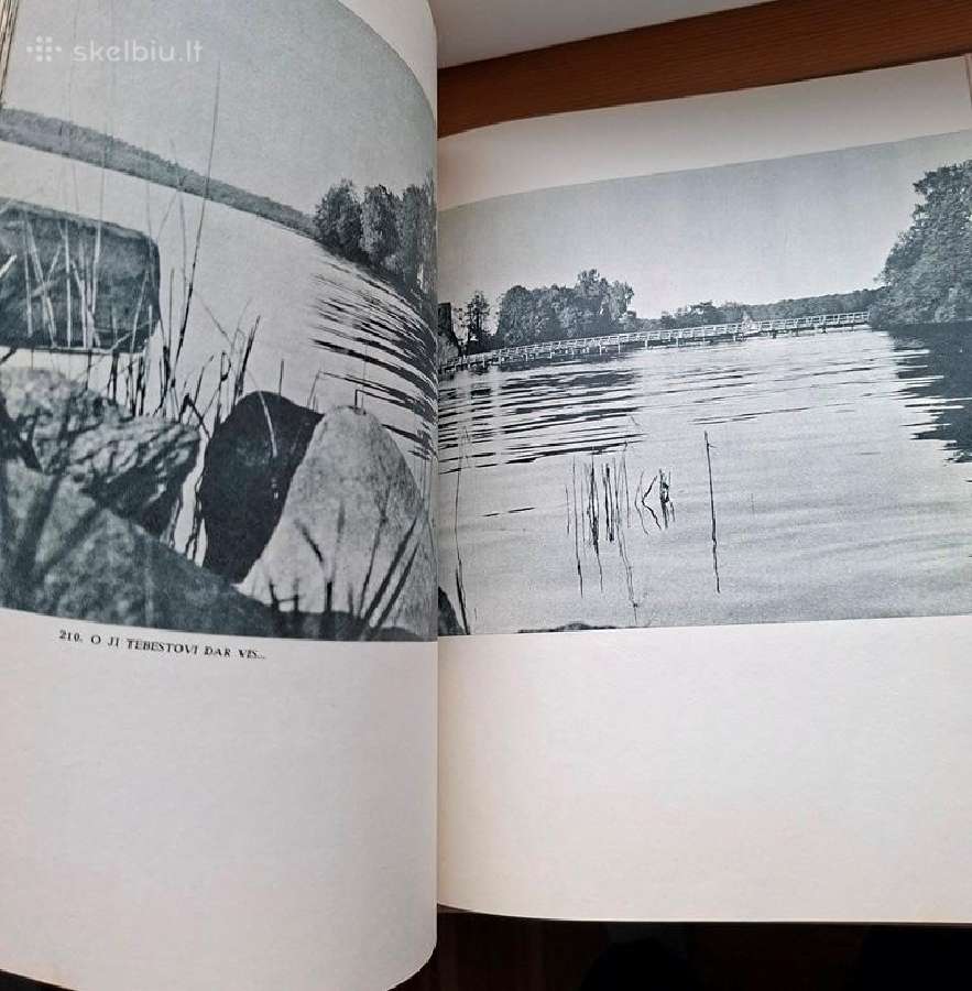 Knyga 1964m. Lietuva šiandien - nuotraukos Nr. 6