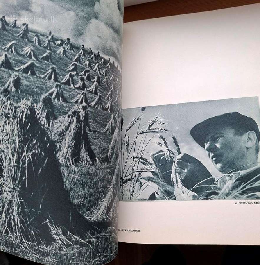 Knyga 1964m. Lietuva šiandien - nuotraukos Nr. 12
